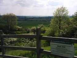 Redhill reserve in the Lincolnshire Wolds