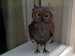 Watching out to welcome guests to Owl
