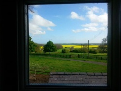 View from Owl Cottage master bedroom