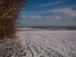 View over snowy fields to Alford