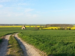 Track to Ailby