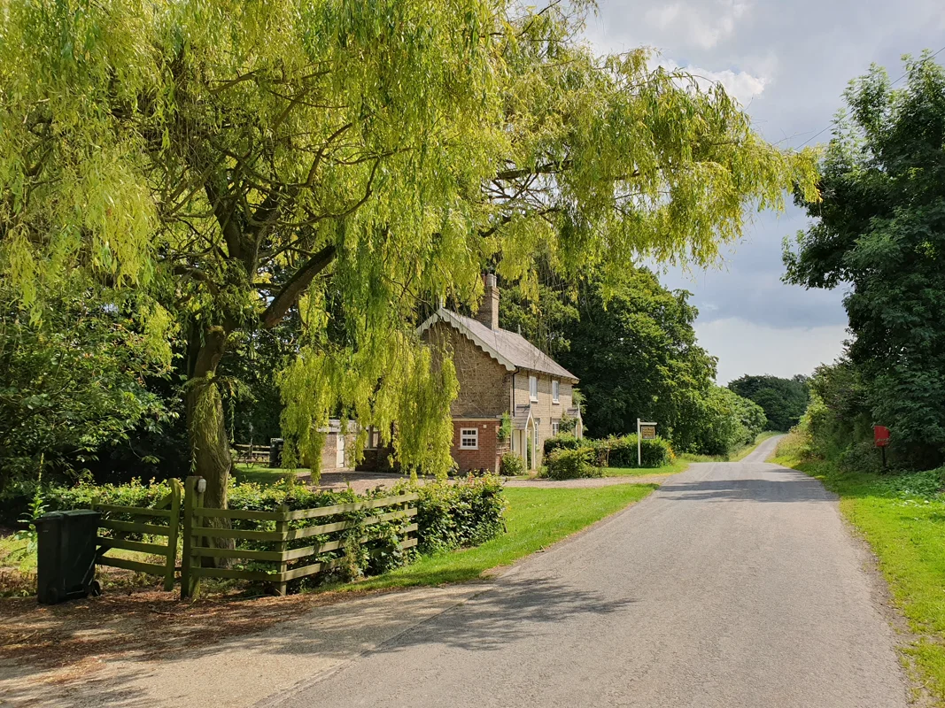 Traditional stone cottage on quiet country lane, shaded by weeping willow tree.